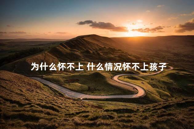 为什么怀不上 什么情况怀不上孩子